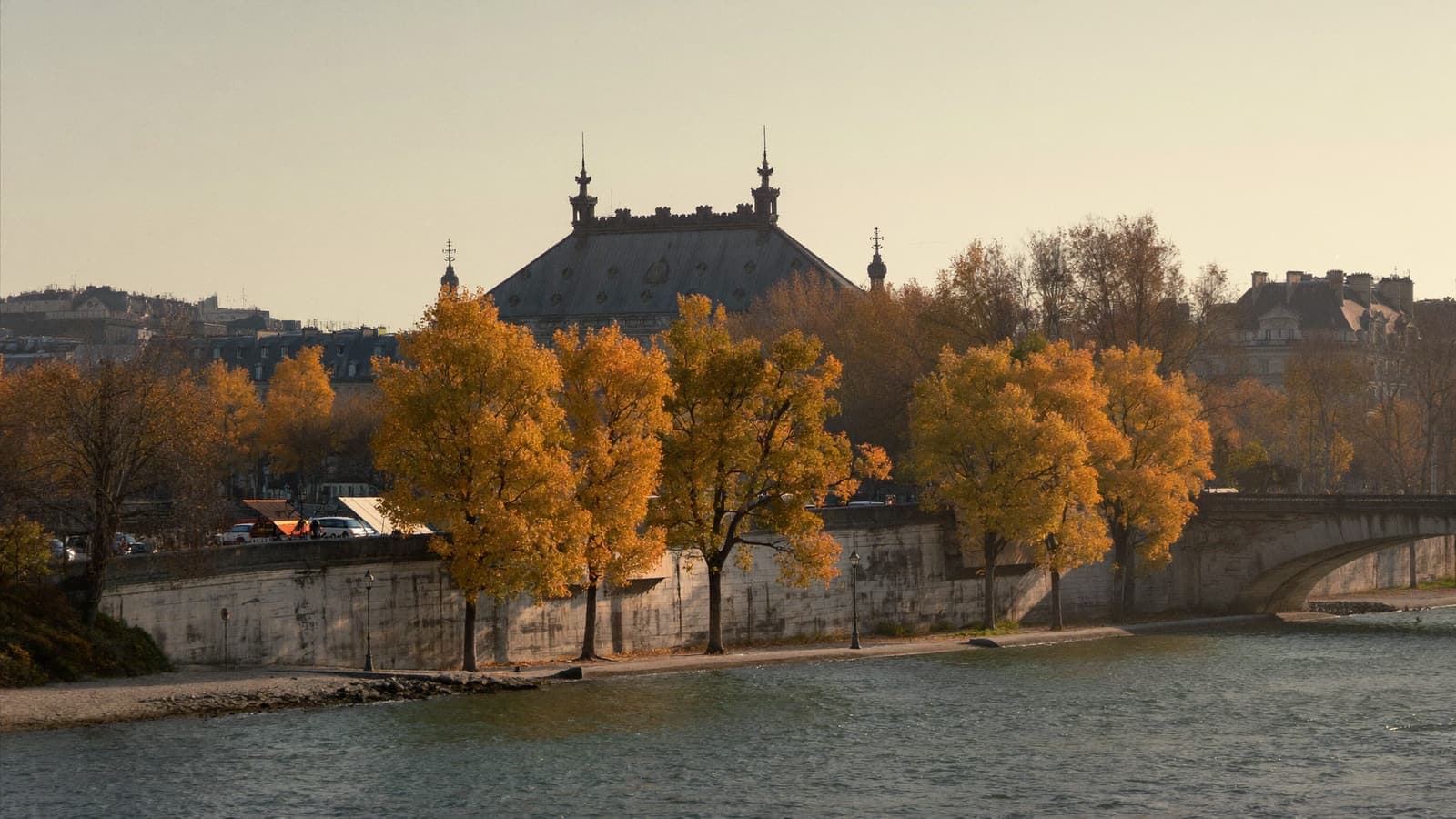 The Seine quays in autumn, golden plane trees along the embankment and a stone bridge in the late light